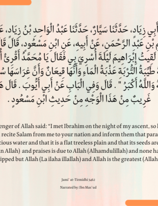 Jami` at-Tirmidhi 3462