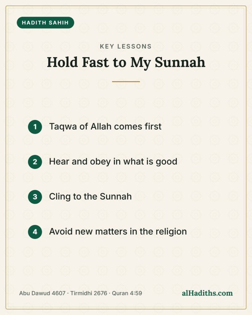 Hold Fast to My Sunnah – key lessons card, Abu Dawud 4607 · Tirmidhi 2676 · Quran 4:59