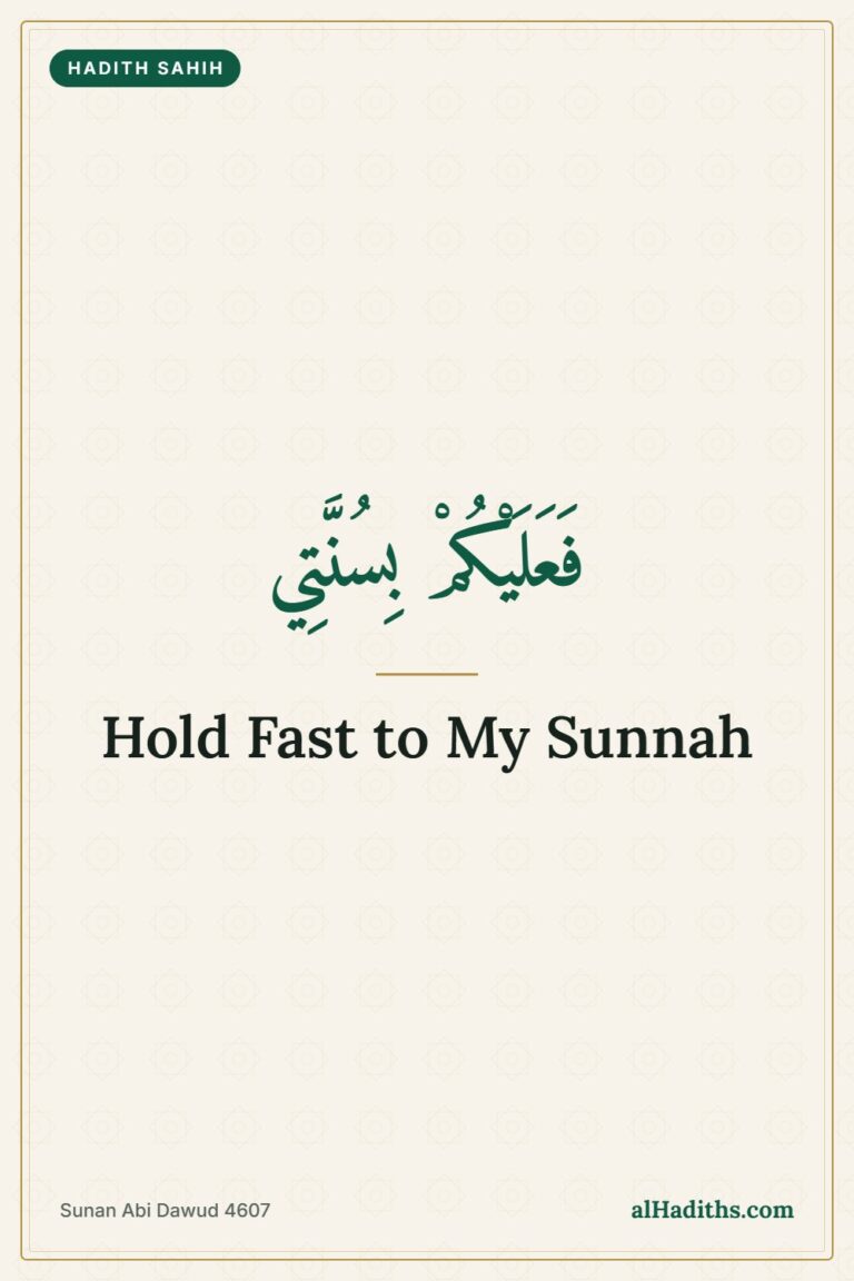 Hold Fast to My Sunnah: Hadith 28 of an-Nawawi – Pinterest pin, Sunan Abi Dawud 4607