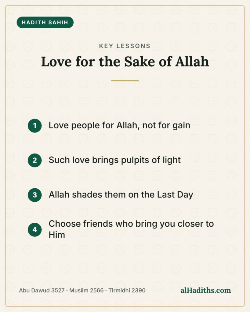 Love for the Sake of Allah – key lessons card, Abu Dawud 3527 · Muslim 2566 · Tirmidhi 2390