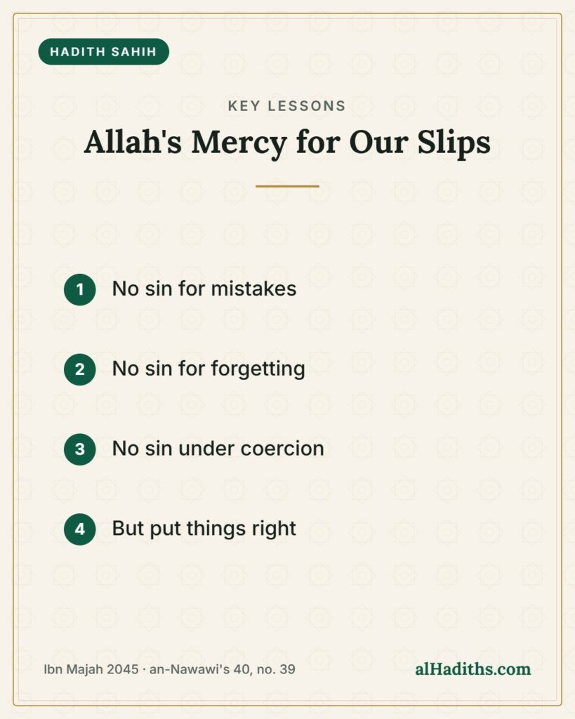 Allah's Mercy for Our Slips – key lessons card, Ibn Majah 2045 · an-Nawawi's 40, no. 39