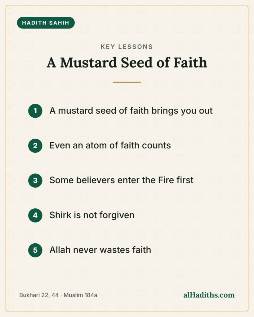 A Mustard Seed of Faith – key lessons card, Bukhari 22, 44 · Muslim 184a
