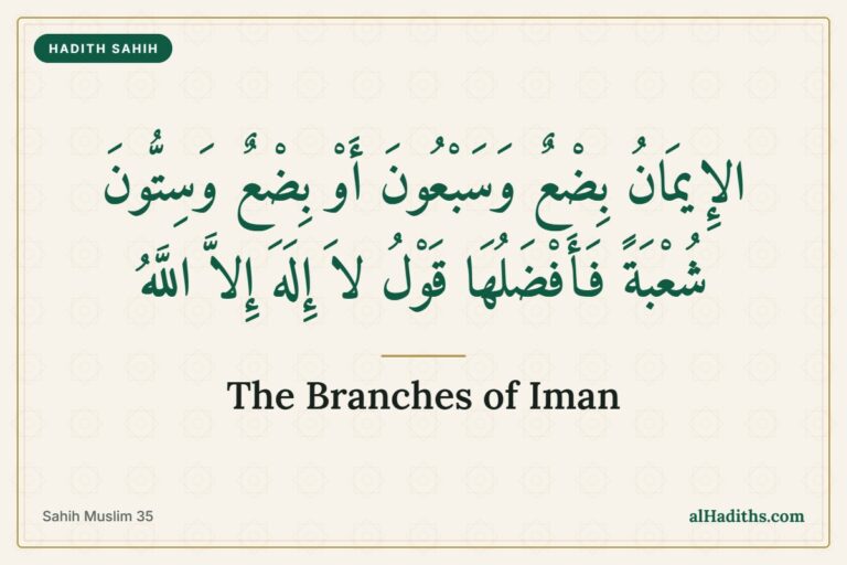 Iman Has Over Seventy Branches: The Highest and the Lowest 7 Iman has over seventy branches, the best of which is La ilaha illallah, hadith from Sahih Muslim 35