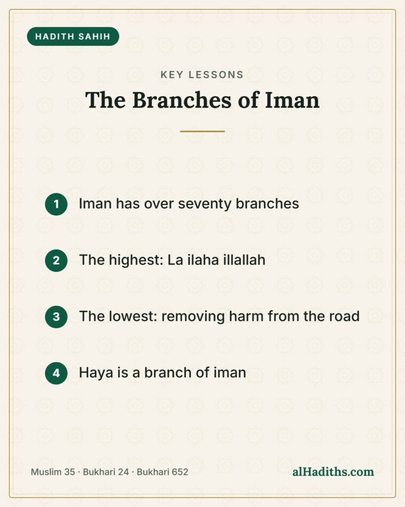 The Branches of Iman – key lessons card, Muslim 35 · Bukhari 24 · Bukhari 652