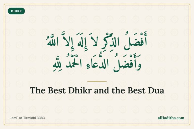 The best dhikr is La ilaha illallah and the best dua is Alhamdulillah, hadith from Tirmidhi 3383 and Ibn Majah 3800