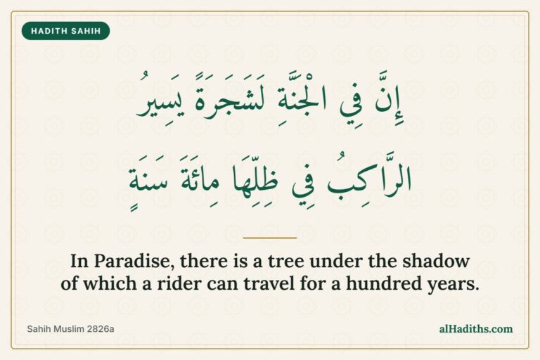 Hadith: In Paradise there is a tree under the shadow of which a rider can travel for a hundred years, Sahih Muslim 2826a