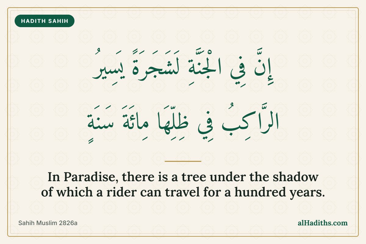 Trees in Jannah: The Endless Shade and the Trees of Dhikr