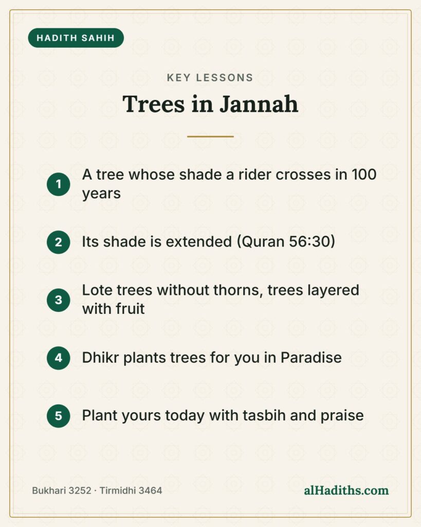 Trees in Jannah – key lessons card, Bukhari 3252 · Tirmidhi 3464
