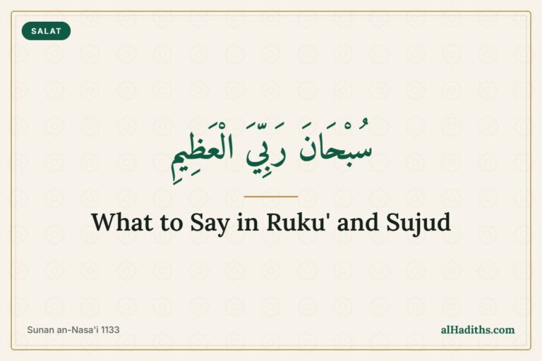 What to say in ruku' and sujud – Subhana Rabbiyal 'Azim in Arabic from Sunan an-Nasa'i 1133