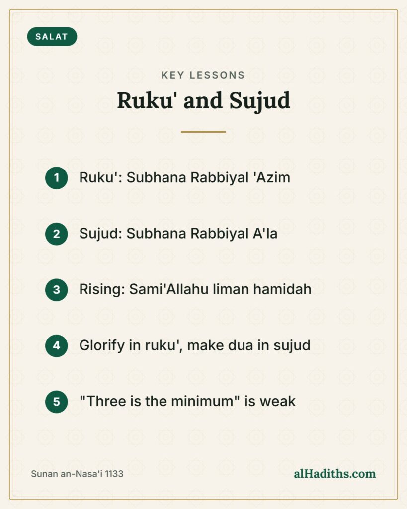 Ruku' and Sujud – key lessons card, Sunan an-Nasa'i 1133